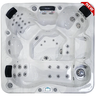 Avalon-X EC-849LX hot tubs for sale in Jarvisburg